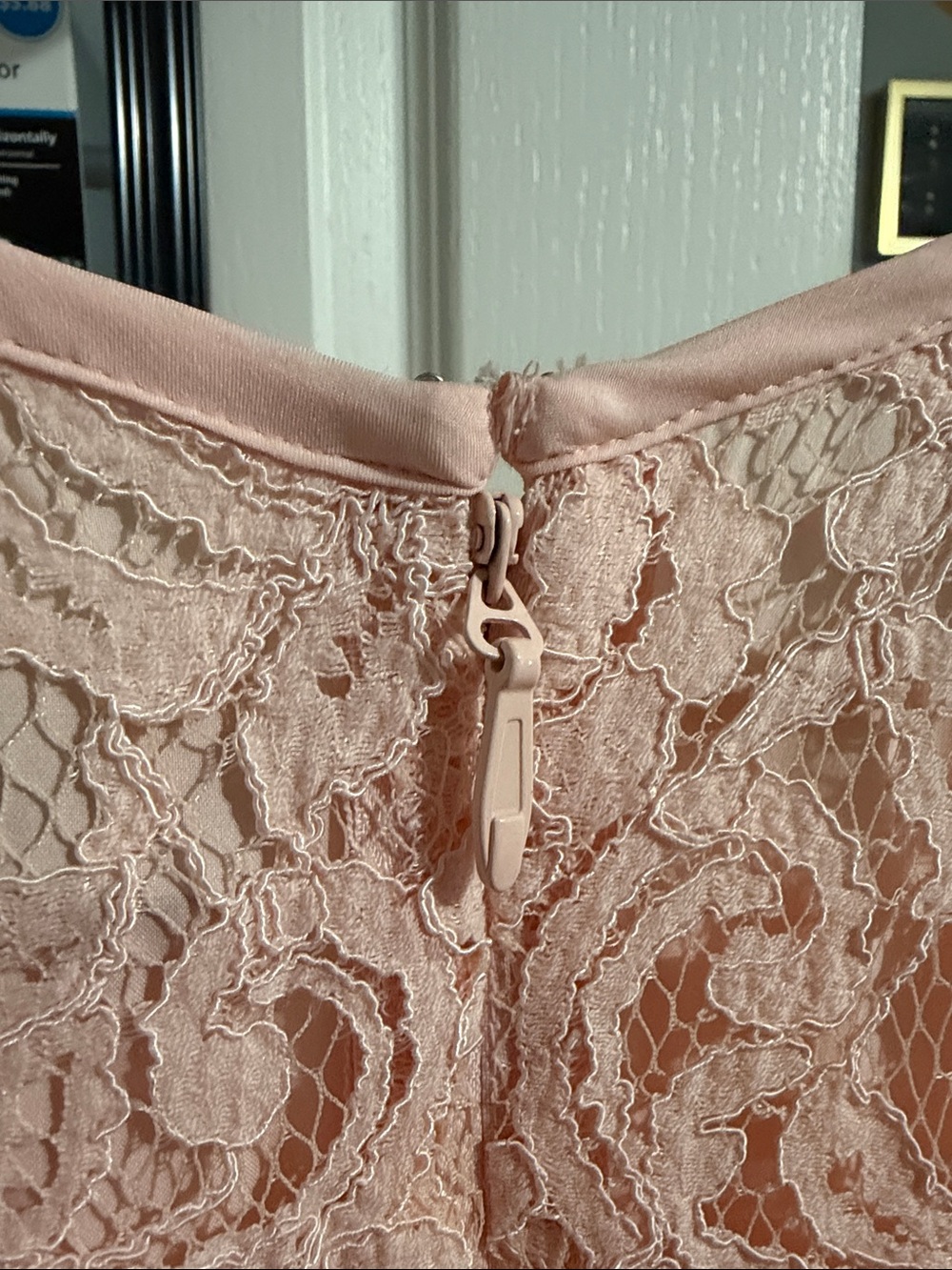 Eva Mendes New York & Company Blush Pink Lace Midi Dress with Belt - Picture 7 of 7